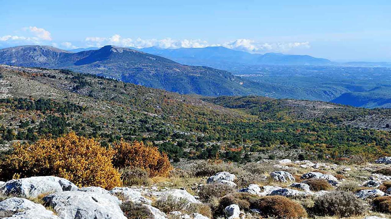 "La Valeriane" Apartman Grasse Kültér fotó